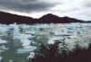 ЧИЛИ Ледник Лаго Грей 01.2003г Чумач