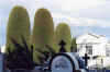 ЧИЛИ Пунта-Аренас кладбище-3 2003г Чумач
